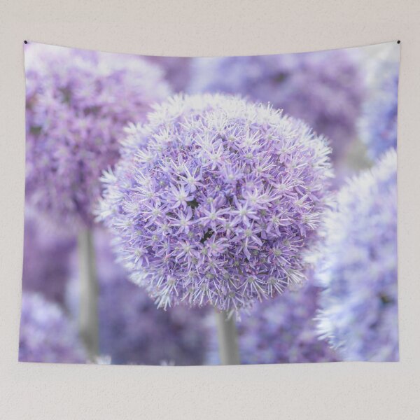 Item preview, Alliums bulbs designed and sold by assaf.