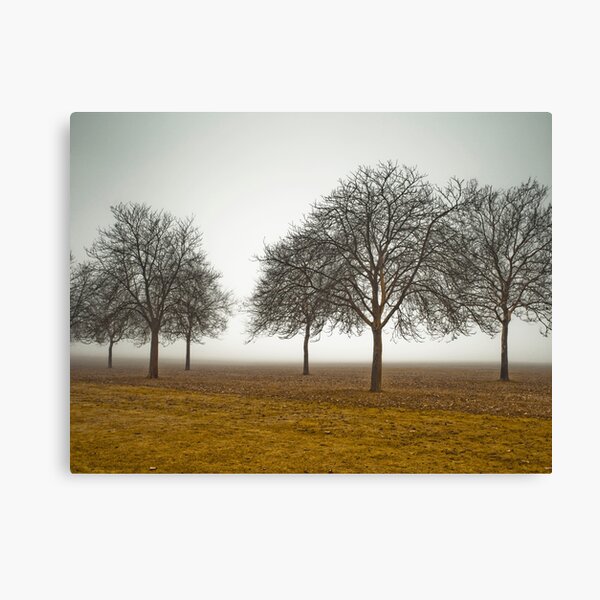 Item preview, Misty Meadow designed and sold by Assaf Frank.
