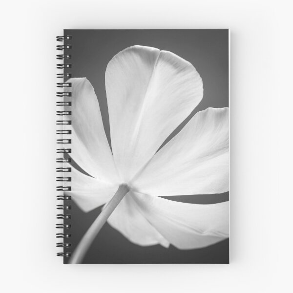 Item preview, Tulip flower designed and sold by assaf.