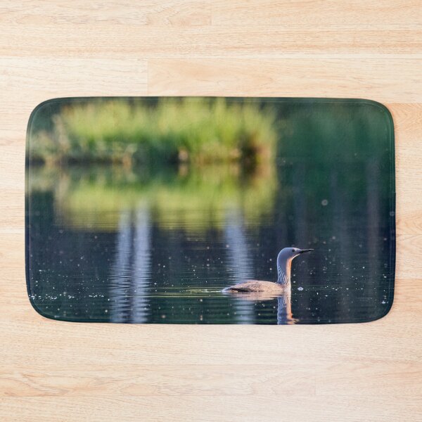 Item preview, The islet and Red-throated loon designed and sold by Jouko Lehto Photography.
