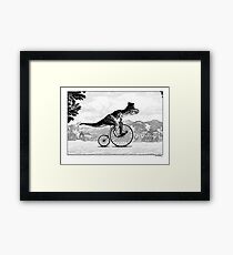 T-Rex on a Penny Farthing Framed Print