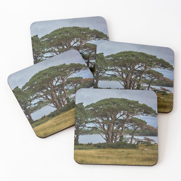 Item preview, Nature Photography | Pine Muckross Lake Killarney National Park designed and sold by Cora Wirth.