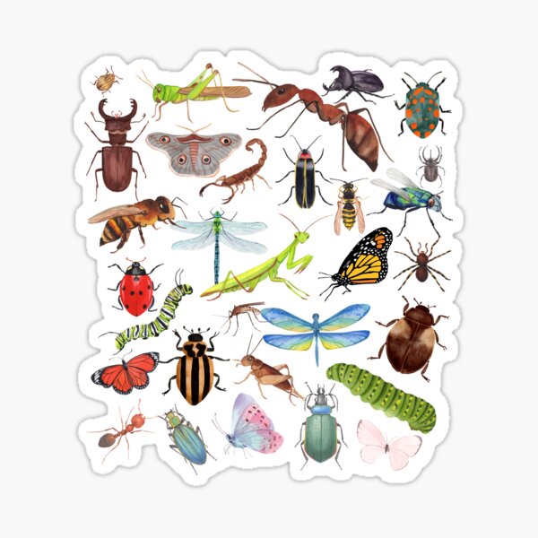 Item preview, Bugs  designed and sold by nikkyromoz.