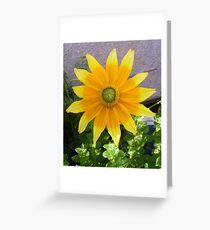 SUN Greeting Card