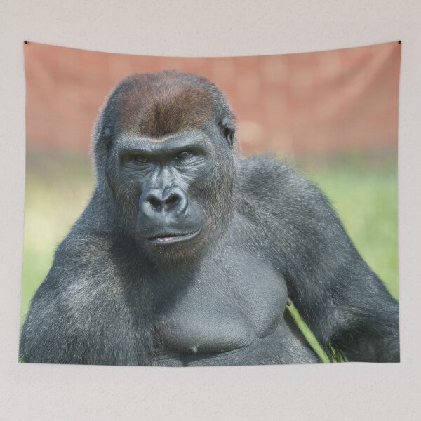 Item preview, Blackback Gorilla Lope Portrait designed and sold by rawshutterbug.