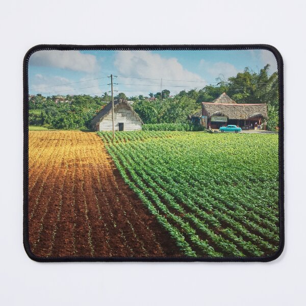 Item preview, Nature Photography | Tobacco field in Cuba designed and sold by Cora Wirth.