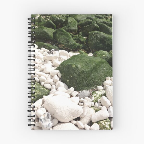 Item preview, Nature Photography | Chalk Stone and Seaweed England designed and sold by Cora Wirth.