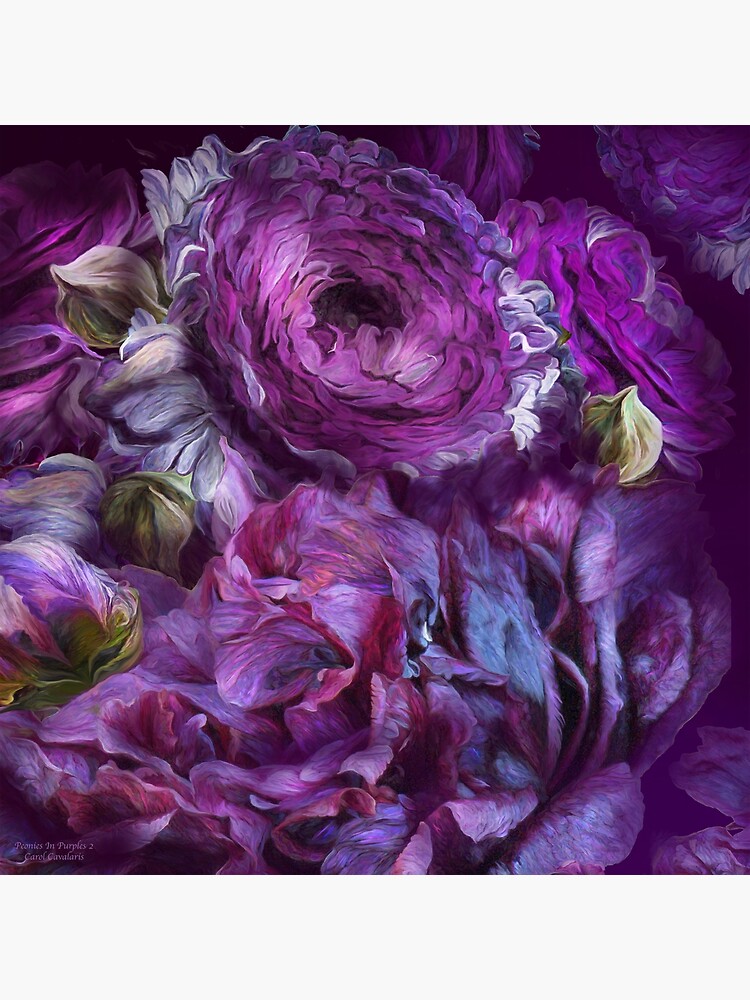 Peonies In Purples 2