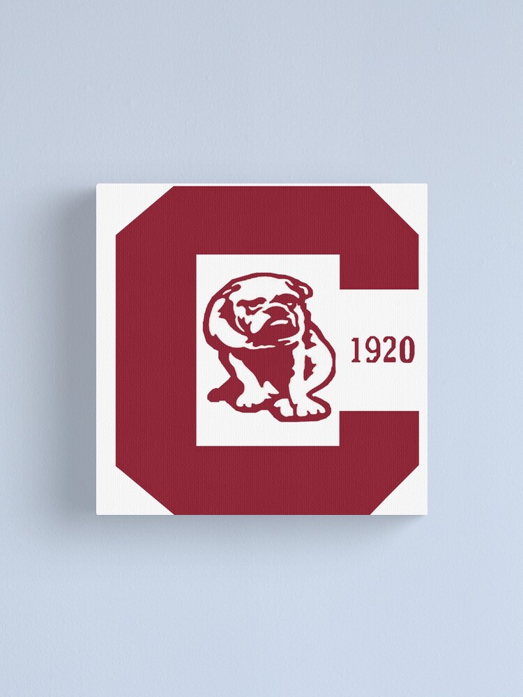 Defunct Vintage American Football Team Canton Bulldogs Emblem 1920 Active T-Shirt | Redbubble