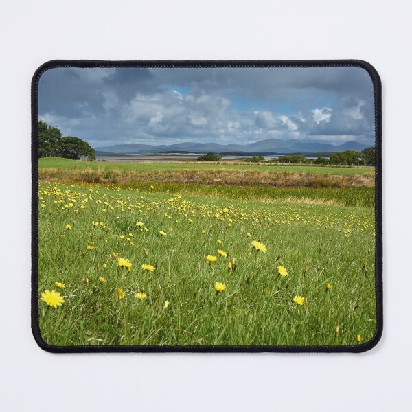 Item preview, Nature Photography | Flower meadow Murrisk Mayo Ireland designed and sold by Cora Wirth.