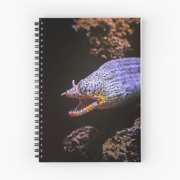 Item preview, Dragon Moray designed and sold by Alex Preiss.