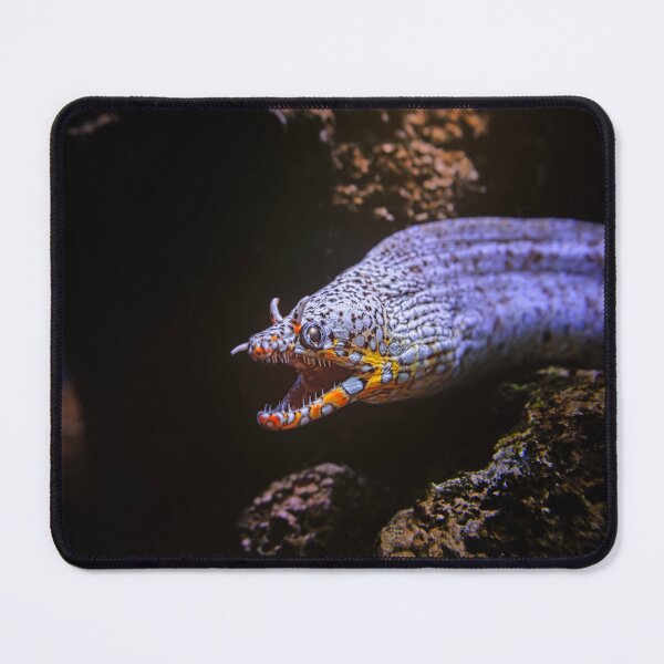 Item preview, Dragon Moray designed and sold by Alex Preiss.