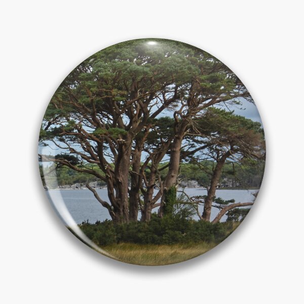 Item preview, Nature Photography | Pine Muckross Lake Killarney National Park designed and sold by Cora Wirth.