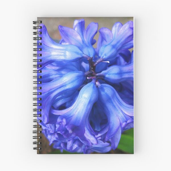 Item preview, Dreamy Blue Hyacinth - Top Down View designed and sold by Kathryn Jones.