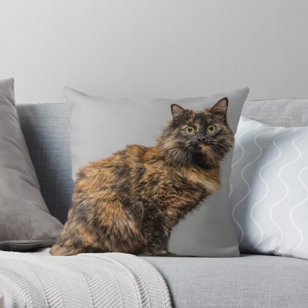 Aperçu de l'œuvre Chat écaille de tortue avec de grands yeux verts posant créée et vendue par bailey-cooper.