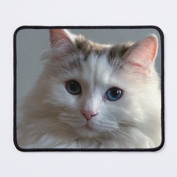 Item preview, Gorgeous Cat designed and sold by NormaHelia.
