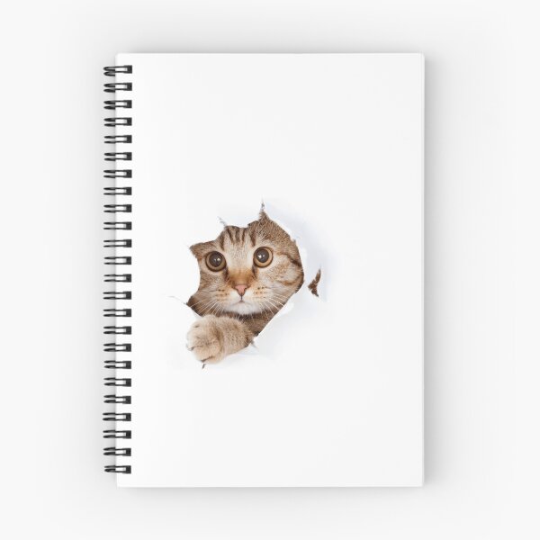 Item preview, GATO designed and sold by hassa3324.