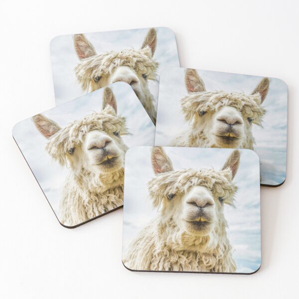 Item preview, "Close-up headshot of white alpaca, against blue sky. designed and sold by bailey-cooper.