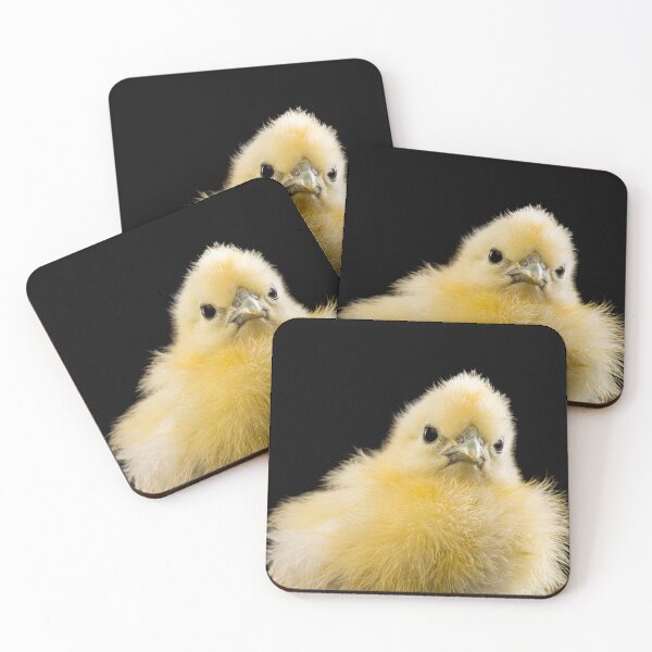 Item preview, Close-up of grumpy yellow chick on black background. designed and sold by bailey-cooper.