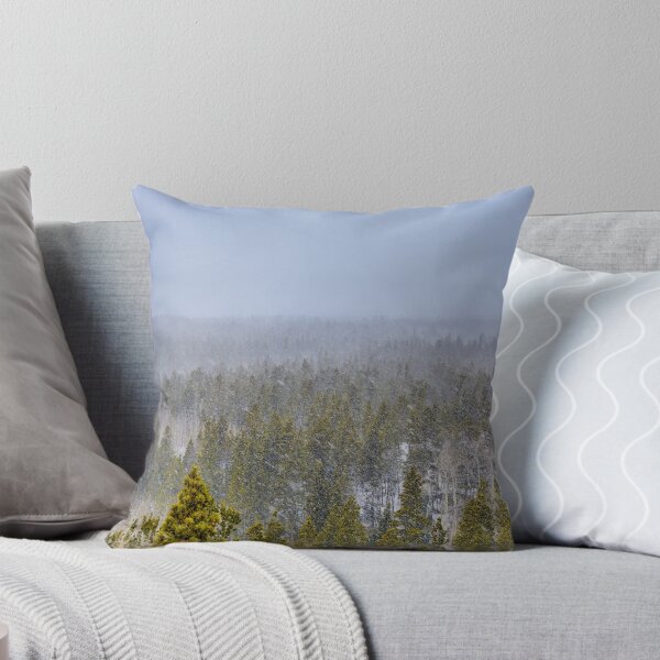 Item preview, Peak to Peak Highway Snowstorm Study 1 designed and sold by Robert Meyers-Lussier.