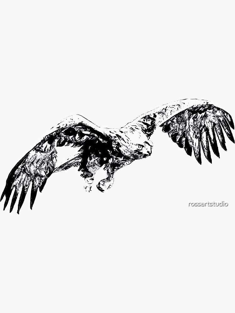 Aigle royal en vol Silhouette noir et blanc Sticker