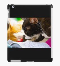 Baby Blue and the boys iPad Case/Skin
