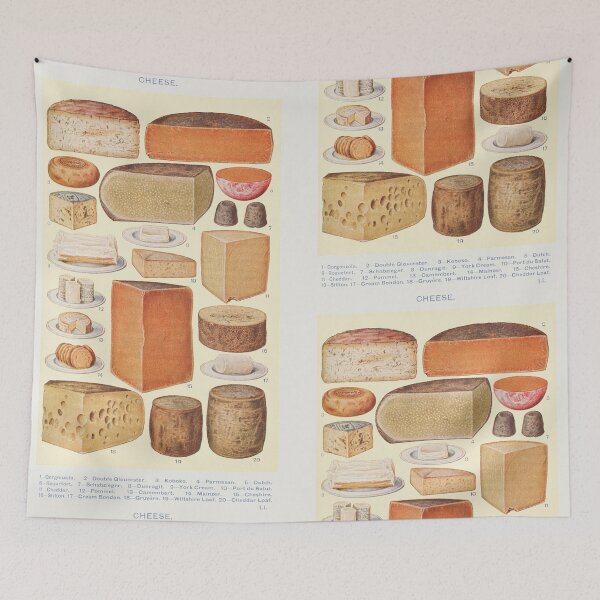 Item preview, Cheese! designed and sold by ellanely.