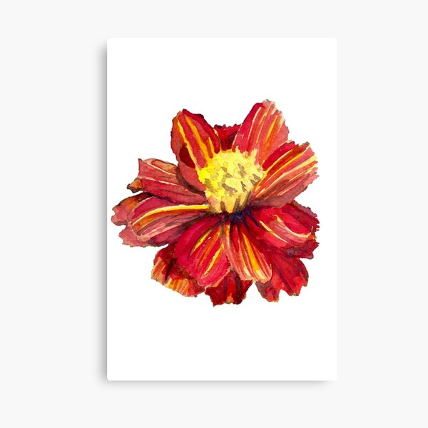Single Marigold Canvas Print