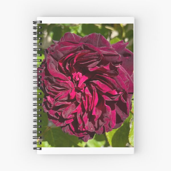 Item preview, Deep Red Rose designed and sold by CA34RR.