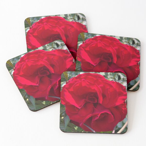 Item preview, Bright red rose!  designed and sold by CA34RR.