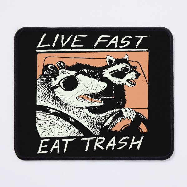 live fast eat trash raccoon