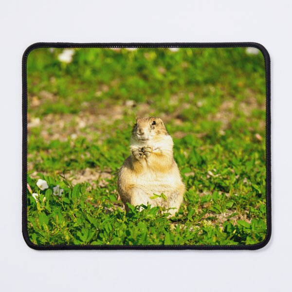 Item preview, Posing Prairie Dog designed and sold by TinyDinoDesigns.