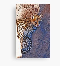 Ocelot Canvas Print