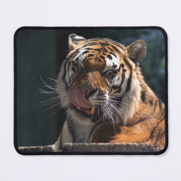 Item preview, Tiger and cleansing designed and sold by Palikova-M.