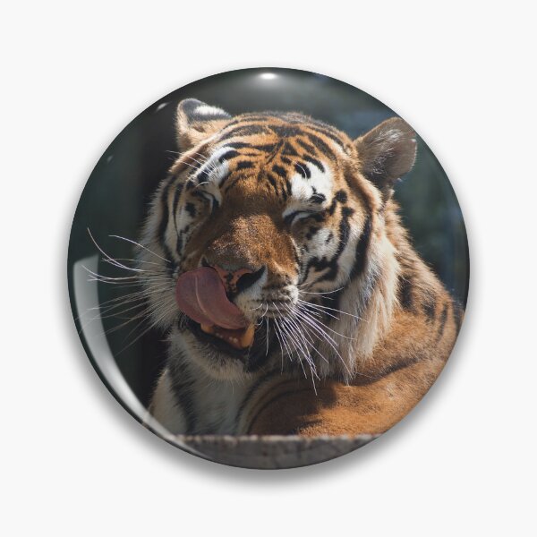 Item preview, Tiger and cleansing designed and sold by Palikova-M.