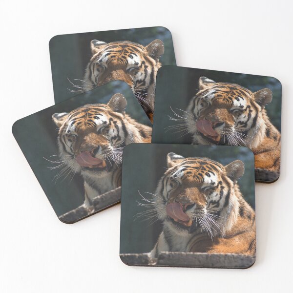 Item preview, Tiger and cleansing designed and sold by Palikova-M.