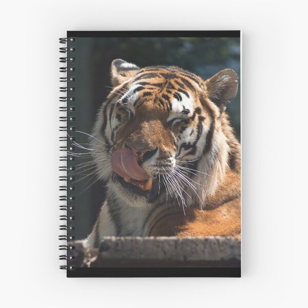 Item preview, Tiger and cleansing designed and sold by Palikova-M.