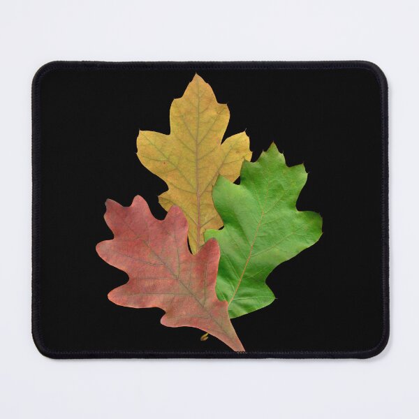 Item preview, Changing Oak Leaves designed and sold by Lisa Davis.