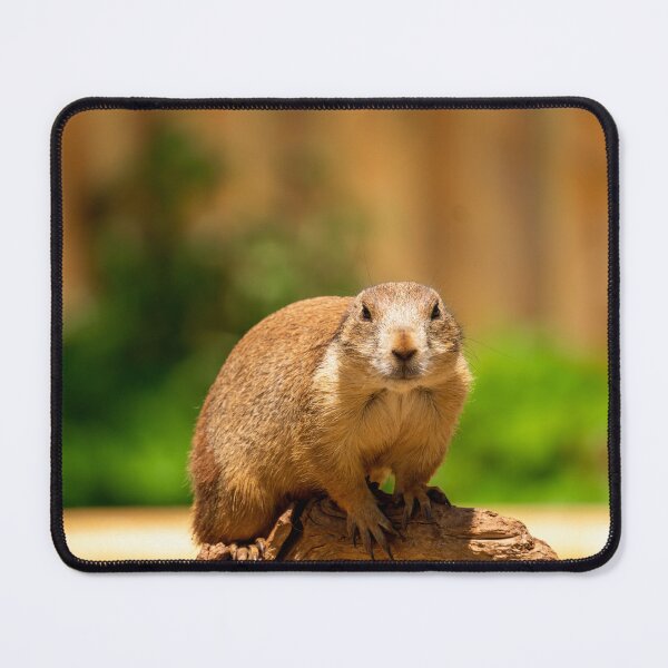 Item preview, Prairie Dog Stare designed and sold by TinyDinoDesigns.