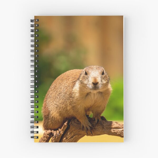 Item preview, Prairie Dog Stare designed and sold by TinyDinoDesigns.
