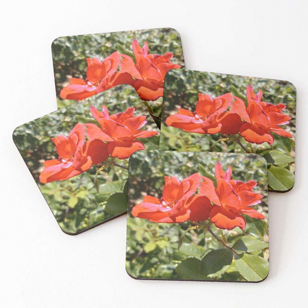 Item preview, Coasters (Set of 4) designed and sold by Undaunted007.