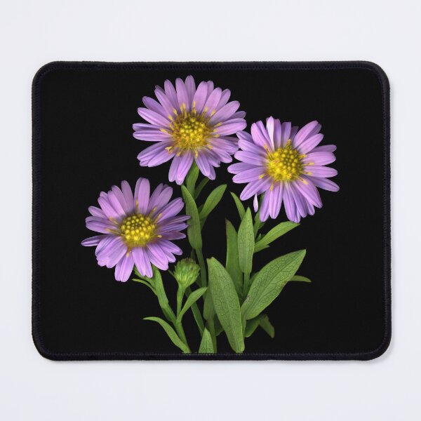 Item preview, Wild Asters designed and sold by Lisa  Davis.