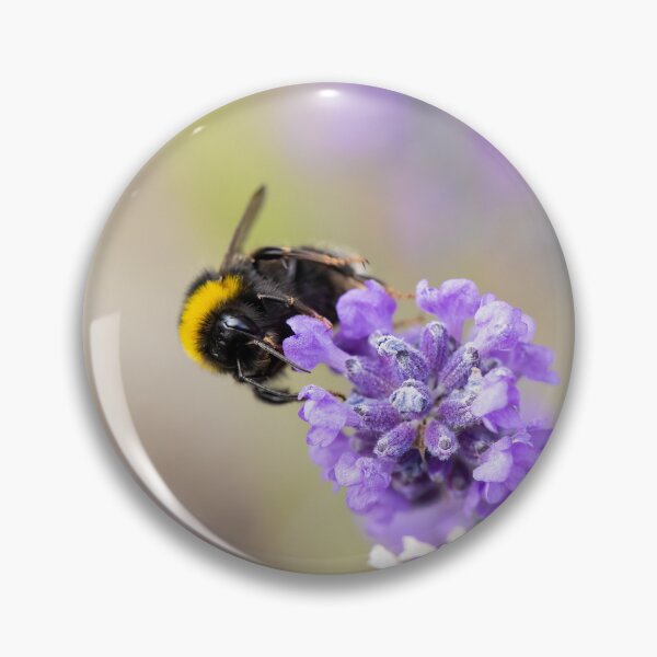Item preview, A Bumblebee On Lavender Flowers designed and sold by Tanya C  Smith.
