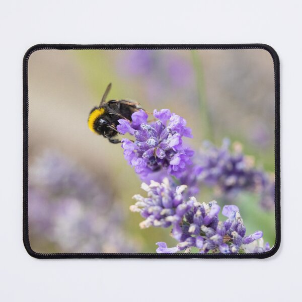 Item preview, A Bumblebee On Lavender Flowers designed and sold by Tanya C  Smith.