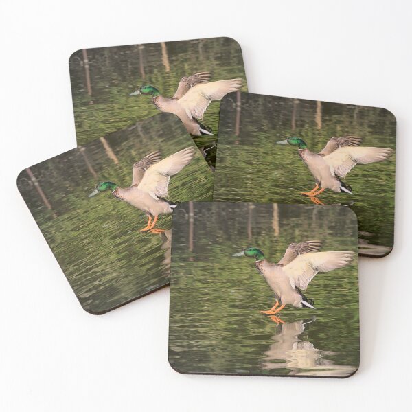 Item preview, Graceful Mallard Duck Landing on Water designed and sold by Jeremy Hayden.