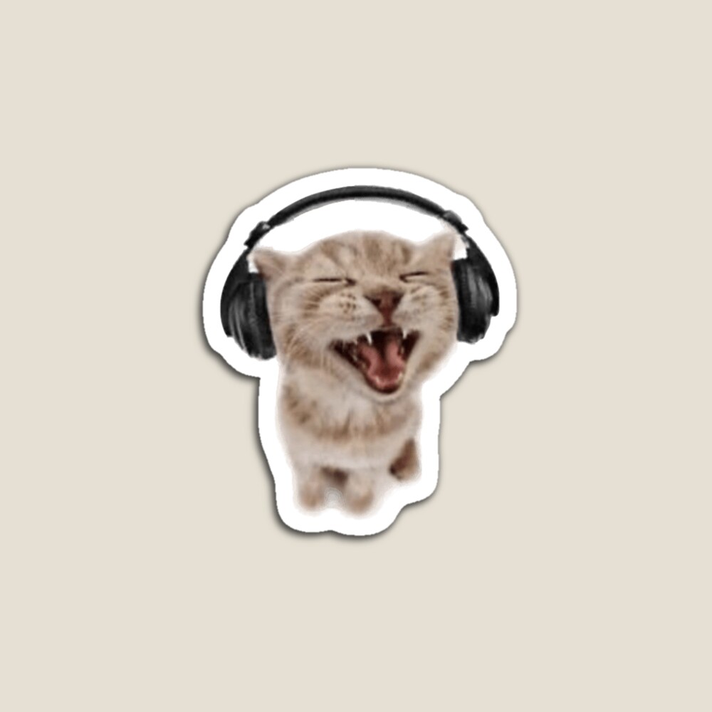 cat listening to music