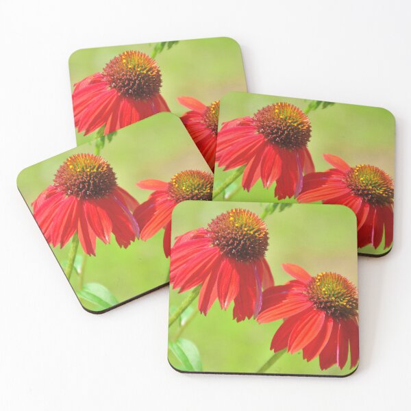 Item preview, Cone Flower Double Blooms designed and sold by LisaWootenPhoto.