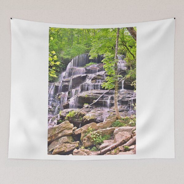 Item preview, Oconee County South Carolina Yellow Branch Falls Vertical designed and sold by LisaWootenPhoto.