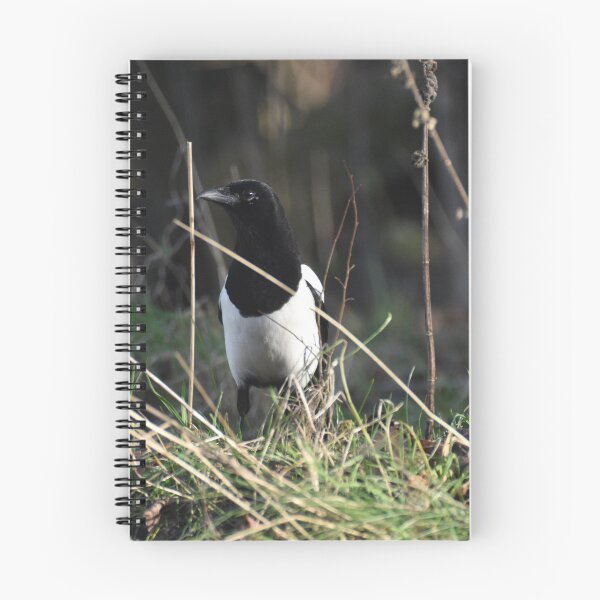Item preview, Curious magpie designed and sold by Alison Stevens.