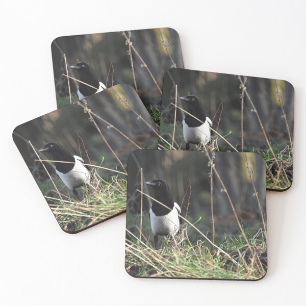 Item preview, Curious magpie designed and sold by Alison Stevens.